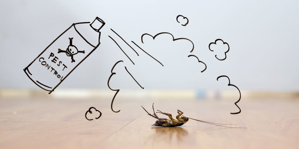 Dead cockroach on floor , pest control concept Pest Control Deerfield Beach