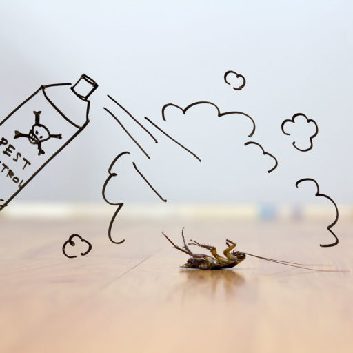 Dead cockroach on floor , pest control concept Pest Control Deerfield Beach