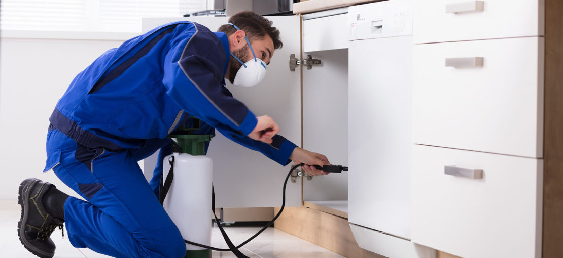 Man Spraying Pesticide In Kitchen Pest Control Deerfield Beach