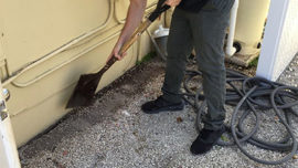 Pest Control South Florida